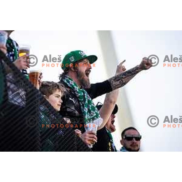 Olimpija supporters Green Dragons before Prva liga Telemach football match between Maribor and Olimpija in Ljudski vrt, Maribor, Slovenia on March 9, 2025. Photo: Jure Banfi