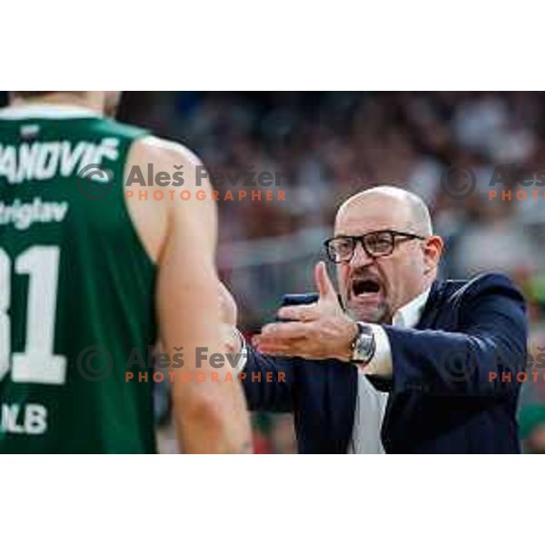 Zvezdan Mitrovic, head coach of Cedevita Olimpija during AdmiralBet ABA League 2024/2025 regular season basketball match between Cedevita Olimpija Ljubljana (SLO) and Crvena Zvezda MeridianBet (SRB) in SRC Stozice, Ljubljana, Slovenia on March 9, 2025