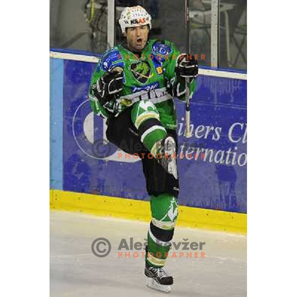 Zupancic scores second goal at ice hockey match in the EBEL League , Tilia Olimpija - Alba , 26.09.2008 Hala Tivoli, Ljubljana 