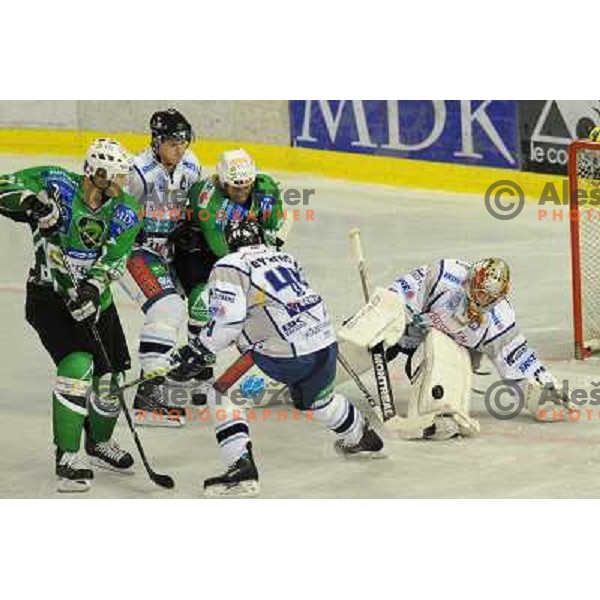 Kralj and Vnuk at ice hockey match in the EBEL League , Tilia Olimpija - Alba , 26.09.2008 Hala Tivoli, Ljubljana 
