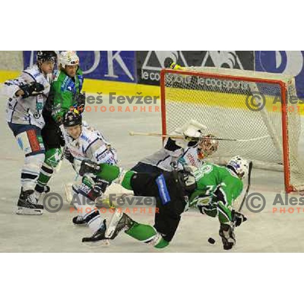 Kralj and Vnuk at ice hockey match in the EBEL League , Tilia Olimpija - Alba , 26.09.2008 Hala Tivoli, Ljubljana 
