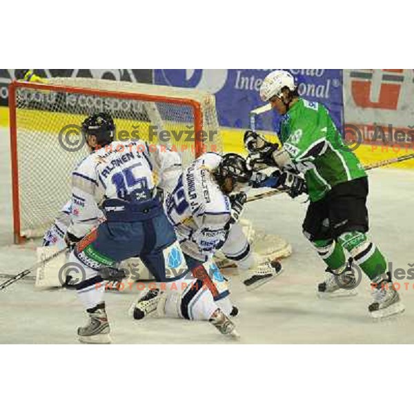 Banham at ice hockey match in the EBEL League , Tilia Olimpija - Alba , 26.09.2008 Hala Tivoli, Ljubljana 