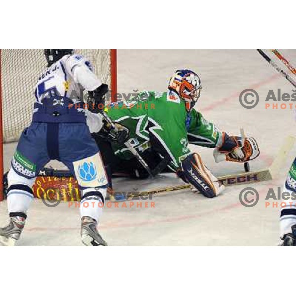 Morrison at ice hockey match in the EBEL League , Tilia Olimpija - Alba , 26.09.2008 Hala Tivoli, Ljubljana 