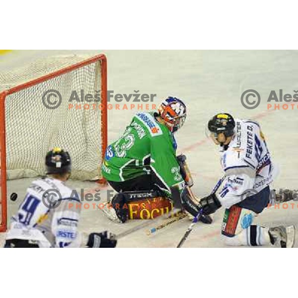 Morrison at ice hockey match in the EBEL League , Tilia Olimpija - Alba , 26.09.2008 Hala Tivoli, Ljubljana 