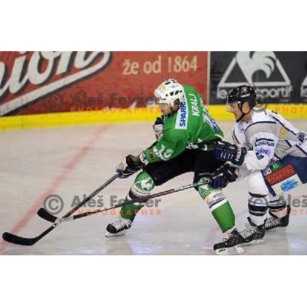 Kralj at ice hockey match in the EBEL League , Tilia Olimpija - Alba , 26.09.2008 Hala Tivoli, Ljubljana 