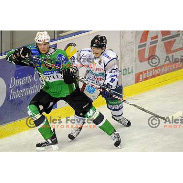Tavzelj at ice hockey match in the EBEL League , Tilia Olimpija - Alba , 26.09.2008 Hala Tivoli, Ljubljana 