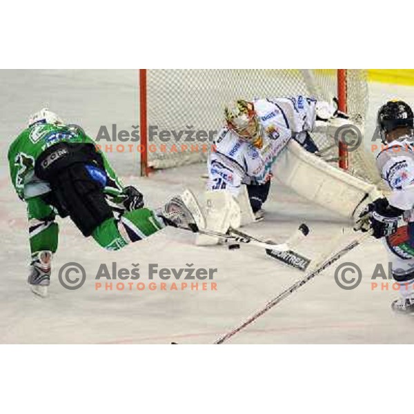 at ice hockey match in the EBEL League , Tilia Olimpija - Alba , 26.09.2008 Hala Tivoli, Ljubljana 
