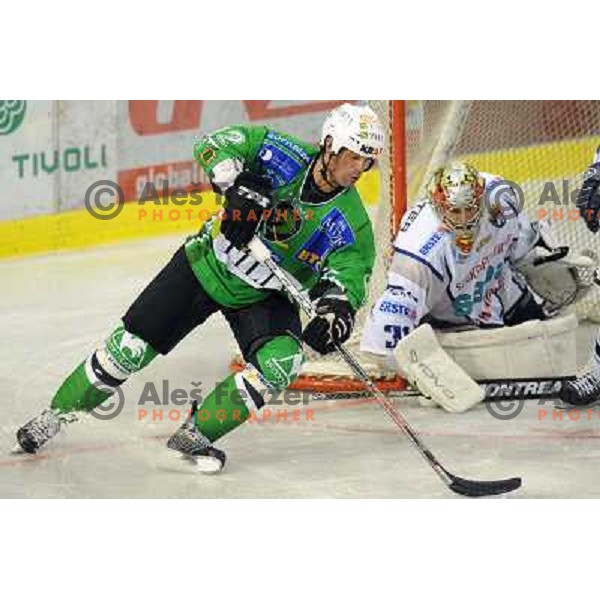Elik at ice hockey match in the EBEL League , Tilia Olimpija - Alba , 26.09.2008 Hala Tivoli, Ljubljana 