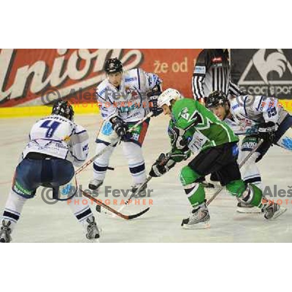 Vnuk at ice hockey match in the EBEL League , Tilia Olimpija - Alba , 26.09.2008 Hala Tivoli, Ljubljana 