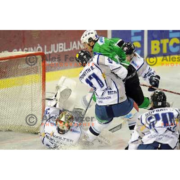 Muric at ice hockey match in the EBEL League , Tilia Olimpija - Alba , 26.09.2008 Hala Tivoli, Ljubljana 