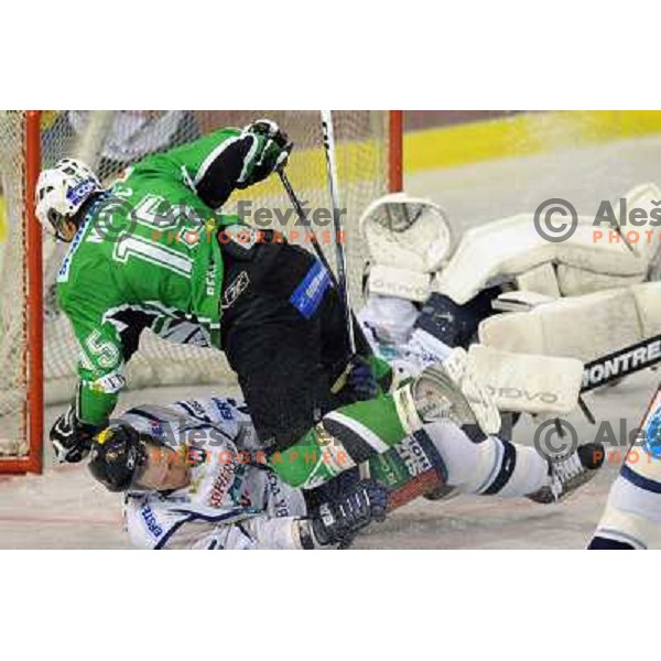 Muric at ice hockey match in the EBEL League , Tilia Olimpija - Alba , 26.09.2008 Hala Tivoli, Ljubljana 
