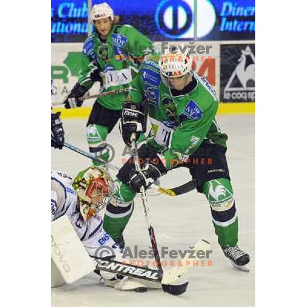 Golicic at ice hockey match in the EBEL League , Tilia Olimpija - Alba , 26.09.2008 Hala Tivoli, Ljubljana 