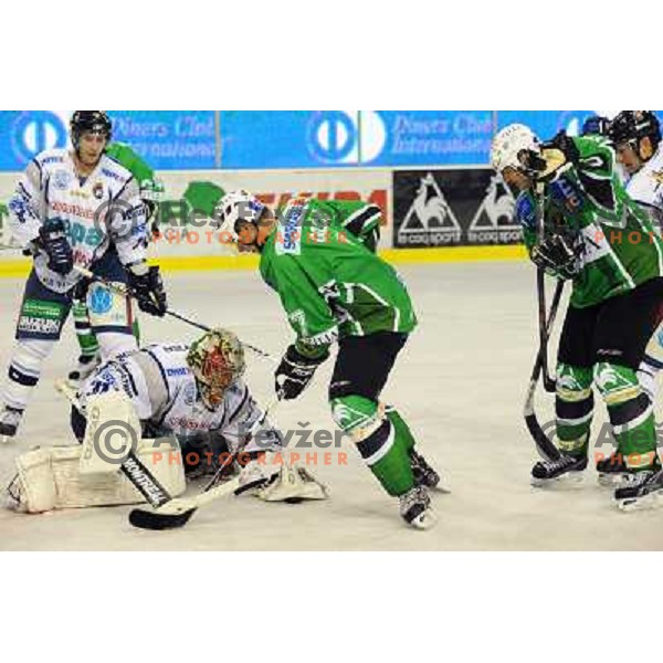 Golicic and Zupancic at ice hockey match in the EBEL League , Tilia Olimpija - Alba , 26.09.2008 Hala Tivoli, Ljubljana 