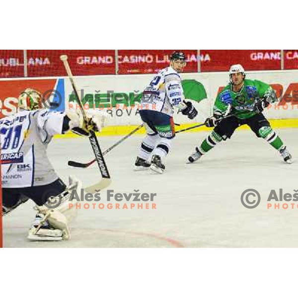 Banham at ice hockey match in the EBEL League , Tilia Olimpija - Alba , 26.09.2008 Hala Tivoli, Ljubljana 