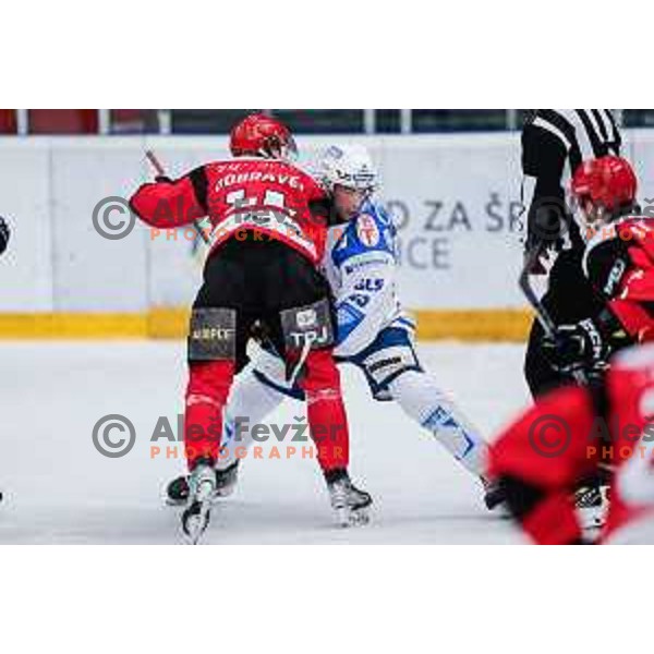 of SIJ Acroni Jesenice in action during quarter-final of AHL ice-hockey match between SIJ Acroni Jesenice and Cortina Hafro in Podmezakla Hall, Jesenice, Slovenia on March 13, 2025