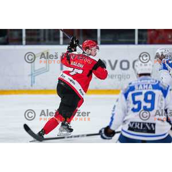 of SIJ Acroni Jesenice in action during quarter-final of AHL ice-hockey match between SIJ Acroni Jesenice and Cortina Hafro in Podmezakla Hall, Jesenice, Slovenia on March 13, 2025