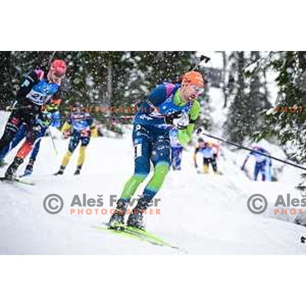 IBU World Cup Biathlon Men mass start at Pokljuka Sports Centre, Slovenia on March 15, 2025