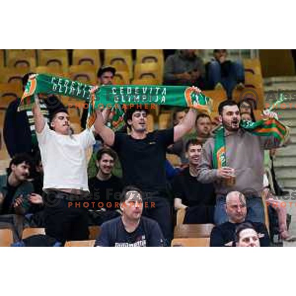 Fans of Cedevita Olimpija during regular season basketball match of AdmiralBet ABA League 2024/2025 between Cedevita Olimpija (SLO) and Zadar (CRO) in Hala Tivoli, Ljubljana, Slovenia on March 16, 2025. Photo: Filip Barbalic