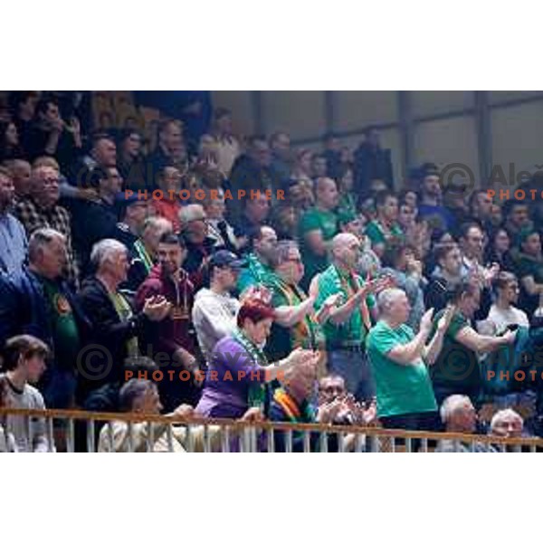 Fans of Cedevita Olimpija during regular season basketball match of AdmiralBet ABA League 2024/2025 between Cedevita Olimpija (SLO) and Zadar (CRO) in Hala Tivoli, Ljubljana, Slovenia on March 16, 2025. Photo: Filip Barbalic