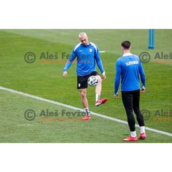 Blaz Kramer and Benjamin Sesko of Slovenia National Football team during practice session before upcoming match against Slovakia in NNC Brdo pri Kranju, Slovenia on March 22, 2025