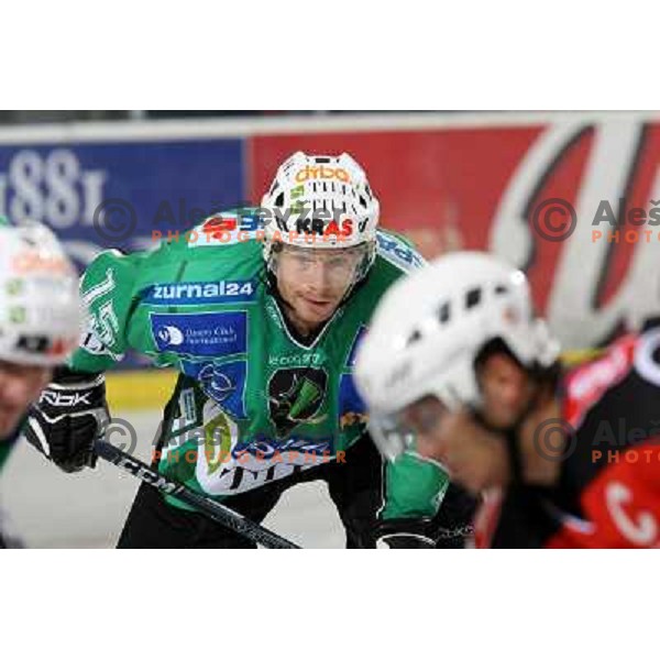Egon Muric at ice-hockey game Tilia Olimpija-Acroni Jesenice in round 4 of EBEL league, played in Hala tivoli, Ljubljana, Slovenia 28.9.2008. Tilia Olimpija won 5:2. 