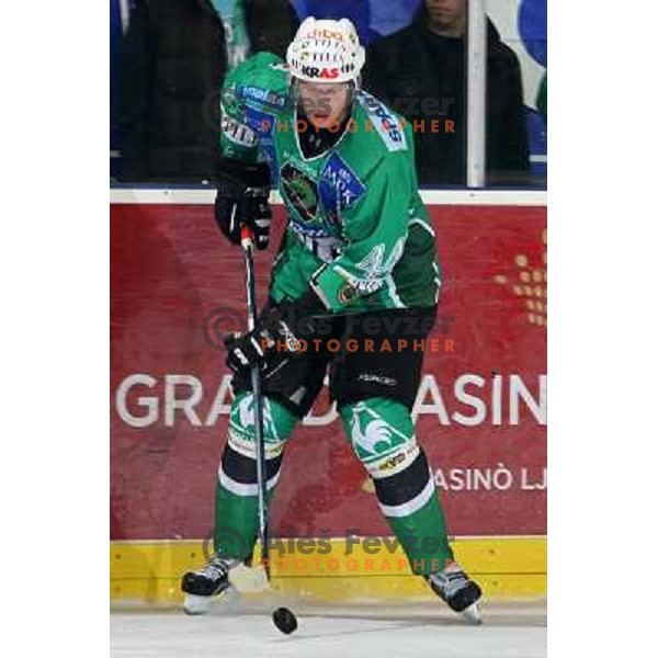 Tavzelj at ice-hockey game Tilia Olimpija-Acroni Jesenice in round 4 of EBEL league, played in Hala tivoli, Ljubljana, Slovenia 28.9.2008. Tilia Olimpija won 5:2. 
