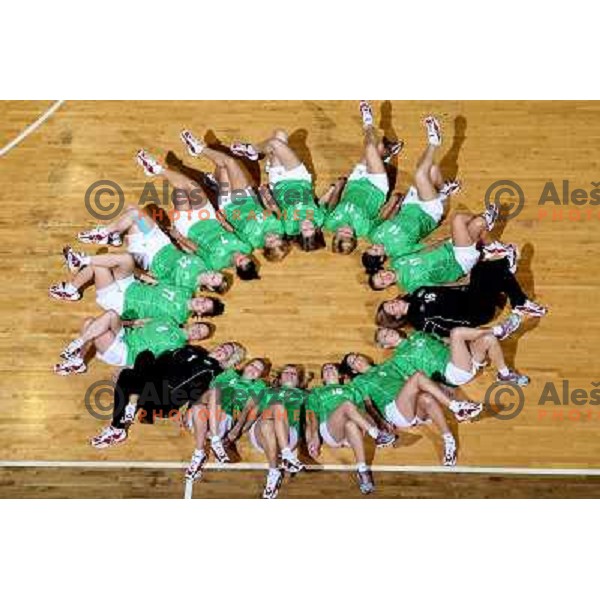 members of RK Olimpija handball team for season 2008-2009 at official team photo shooting in Hala Tivoli, Ljubljana, september 2008 