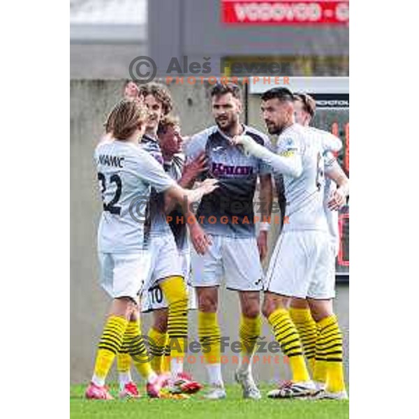 in action during Prva liga Telemach 2024/2025 football match between Primorje and Kalcer Radomlje in Ajdovscina, Slovenia on March 30, 2025