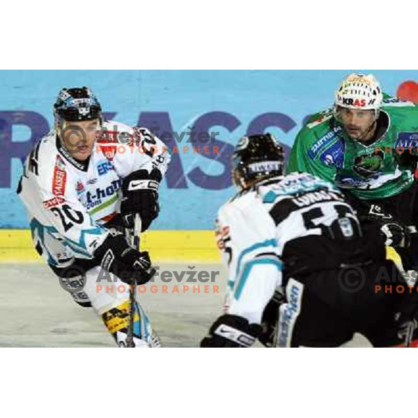 Purdie (20) and Golicic (7) at ice-hockey game Tilia Olimpija-EHC Liwest Linz in round 6 of EBEL league, played in Ljubljana (Slovenia) 2.10.2008 
