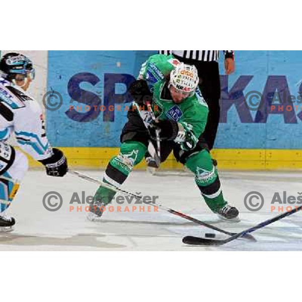 Brendan Yarema at ice-hockey game Tilia Olimpija-EHC Liwest Linz in round 6 of EBEL league, played in Ljubljana (Slovenia) 2.10.2008 