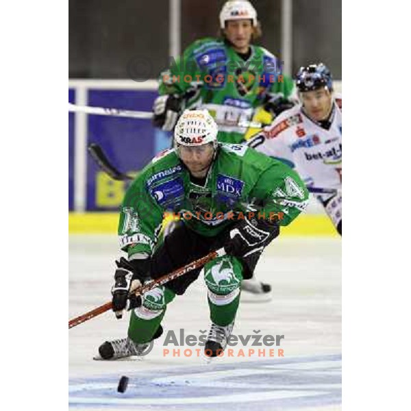 Matej Hocevar at ice-hockey game Tilia Olimpija-EHC Liwest Linz in round 6 of EBEL league, played in Ljubljana (Slovenia) 2.10.2008.EHC Liwest Linz won after penalty shot-out. 