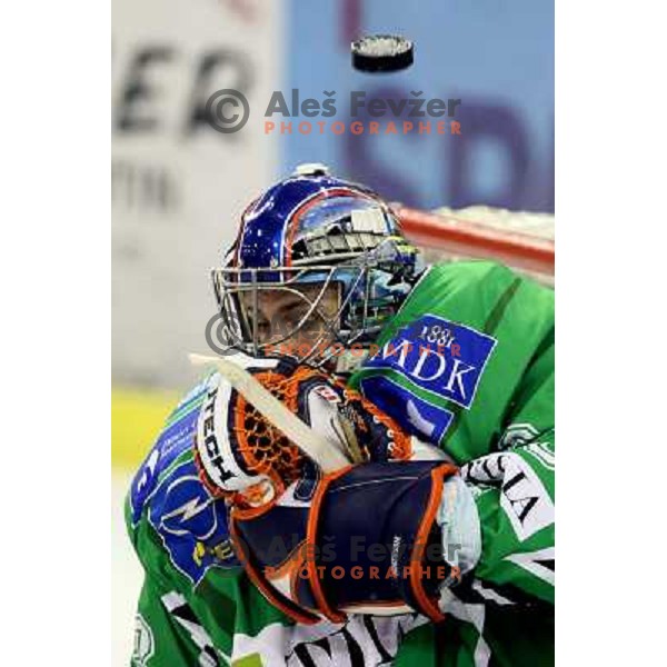 Mike Morrison at ice-hockey game Tilia Olimpija-EHC Liwest Linz in round 6 of EBEL league, played in Ljubljana (Slovenia) 2.10.2008.EHC Liwest Linz won after penalty shot-out. 