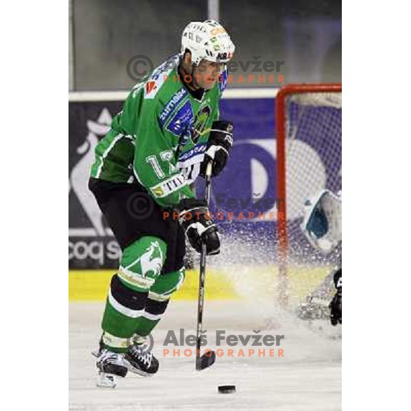 Nik Zupancic at ice-hockey game Tilia Olimpija-EHC Liwest Linz in round 6 of EBEL league, played in Ljubljana (Slovenia) 2.10.2008.EHC Liwest Linz won after penalty shot-out. 