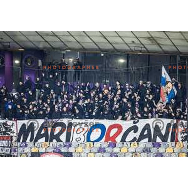 Maribor supporters Viole during Slovenian Cup 2024/25 quarter-finals football match between Maribor and Celje in Ljudski vrt, Maribor, Slovenia on April 2, 2025. Photo: Jure Banfi