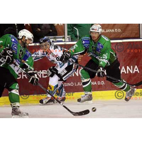 Muric at ice-hockey game Tilia Olimpija-EHC Liwest Linz in round 6 of EBEL league, played in Ljubljana (Slovenia) 2.10.2008.EHC Liwest Linz won after penalty shot-out. 