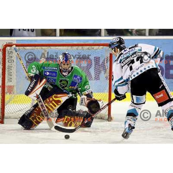 Morrison and Baumgartner at ice-hockey game Tilia Olimpija-EHC Liwest Linz in round 6 of EBEL league, played in Ljubljana (Slovenia) 2.10.2008.EHC Liwest Linz won after penalty shot-out. 