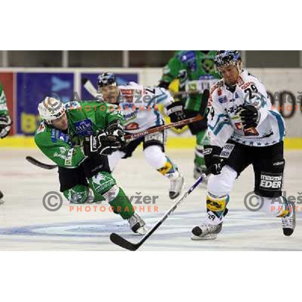 Matej Hocevar at ice-hockey game Tilia Olimpija-EHC Liwest Linz in round 6 of EBEL league, played in Ljubljana (Slovenia) 2.10.2008.EHC Liwest Linz won after penalty shot-out. 