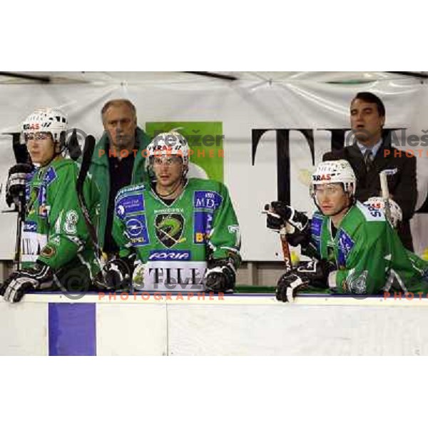 Golicic, Hocevar at ice-hockey game Tilia Olimpija-EHC Liwest Linz in round 6 of EBEL league, played in Ljubljana (Slovenia) 2.10.2008.EHC Liwest Linz won after penalty shot-out. 