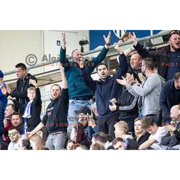 Fans of Nafta 1903 celebrating during Prva liga Telemach football match between Nafta 1903 and Mura in Sportni park Lendava, Slovenia on April 5, 2025. Photo: Jure Banfi