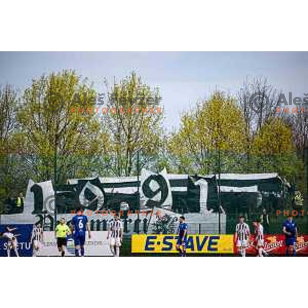 Mura supporters Black Gringos during Prva liga Telemach football match between Nafta 1903 and Mura in Sportni park Lendava, Slovenia on April 5, 2025. Photo: Jure Banfi