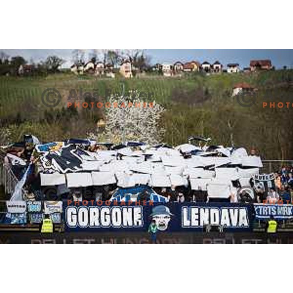 Nafta 1903 supporters Gorgone during Prva liga Telemach football match between Nafta 1903 and Mura in Sportni park Lendava, Slovenia on April 5, 2025. Photo: Jure Banfi