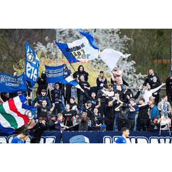 Nafta 1903 supporters Gorgone during Prva liga Telemach football match between Nafta 1903 and Mura in Sportni park Lendava, Slovenia on April 5, 2025. Photo: Jure Banfi