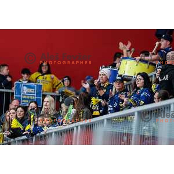 In action during third match of the Final of Alps League 2024/2025 ice-hockey match between SIJ Acroni Jesenice and Zeller Eisbaren in Podmezakla Hall, Jesenice, Slovenia on April 13, 2025