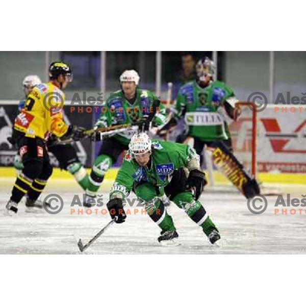 Yarema at ice-hockey game Tilia Olimpija-Vienna Capitals in round 7 of EBEL league, played in Ljubljana (Slovenia) 5.10.2008. 