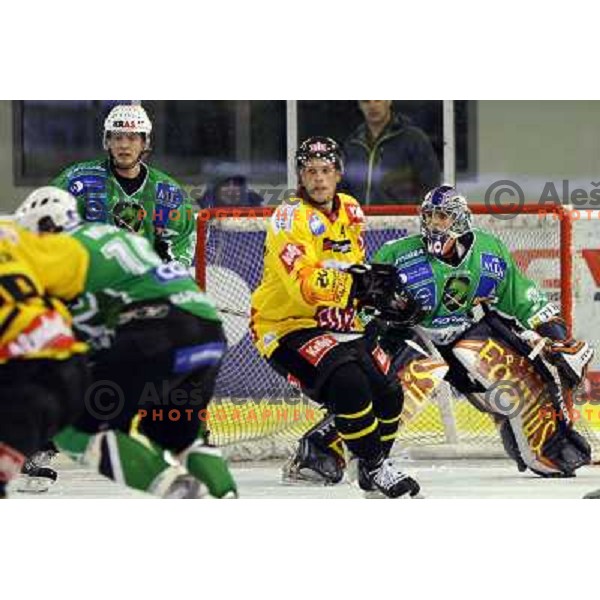 Petrialinen and Morrison at ice-hockey game Tilia Olimpija-Vienna Capitals in round 7 of EBEL league, played in Ljubljana (Slovenia) 5.10.2008. 