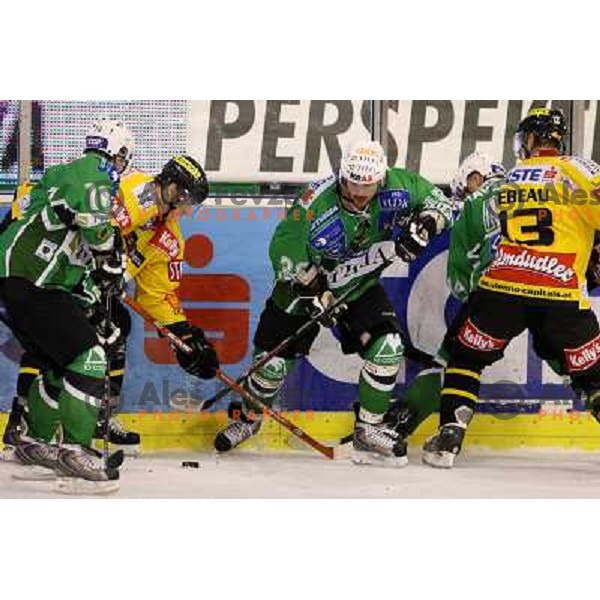 Music, Banham, Tavzelj at ice-hockey match Tilia Olimpija-Vienna Capitals in round 7 of EBEL league, played in Hala Tivoli, Ljubljana, Slovenia 5.10.2008. Vienna Capitals won the match 4:0 