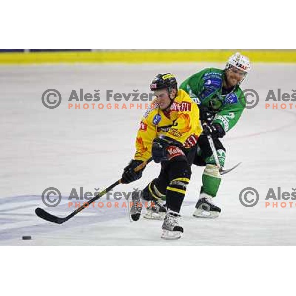 Mitchell at ice-hockey match Tilia Olimpija-Vienna Capitals in round 7 of EBEL league, played in Hala Tivoli, Ljubljana, Slovenia 5.10.2008. Vienna Capitals won the match 4:0 