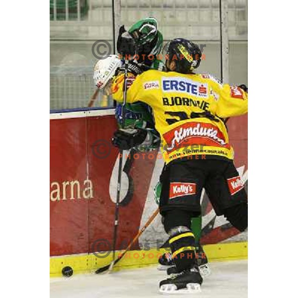 Bjornlie at ice-hockey match Tilia Olimpija-Vienna Capitals in round 7 of EBEL league, played in Hala Tivoli, Ljubljana, Slovenia 5.10.2008. Vienna Capitals won the match 4:0 