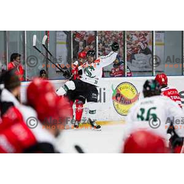 in action during first match of the Final of Slovenian ice-hockey National Championship 2024/2025 between SIJ Acroni Jesenice and HK Olimpija Ljubljana in Podmezakla Hall on April 22, 2025, Jesenice, Slovenia Photo: Grega Valancic