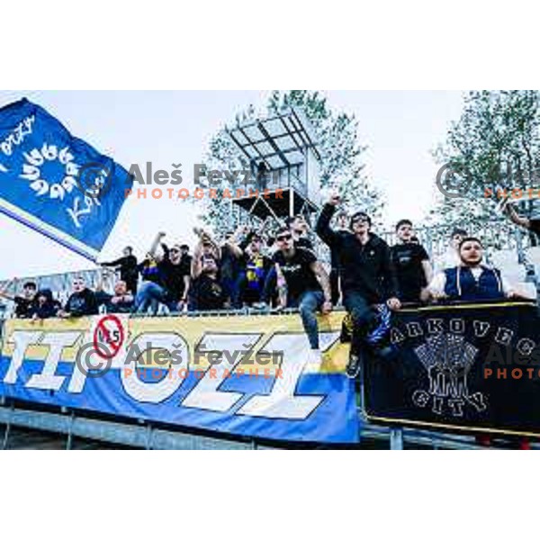 Tifozi of Koper in action during semi-final of Pivovarna Union Slovenian Cup 2024/2025 football match between Koper and Bravo Big Bang at Bonifika Stadium in Koper, Slovenia on April 23, 2025
